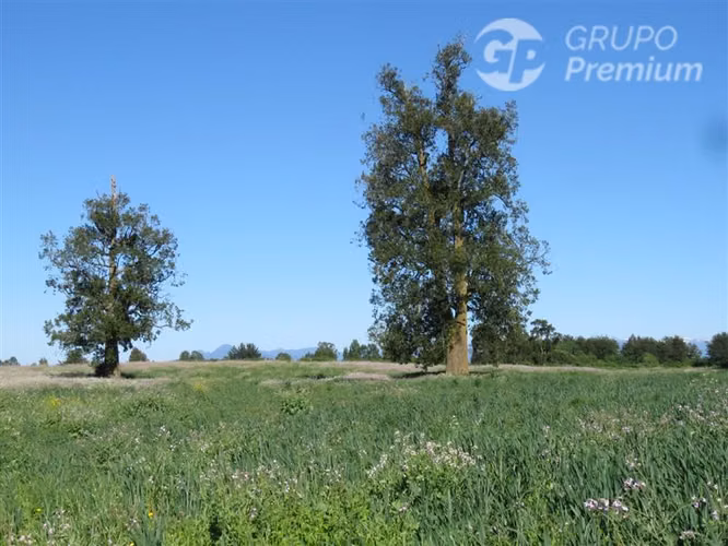 Parcela en venta en Río Bueno