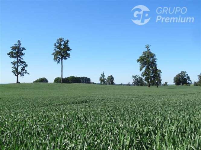Parcela en venta en Río Bueno