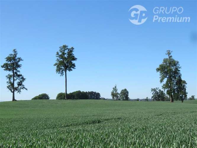 Parcela en venta en Río Bueno