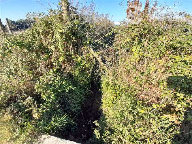 Parcela en venta en Linares - Imagen 18