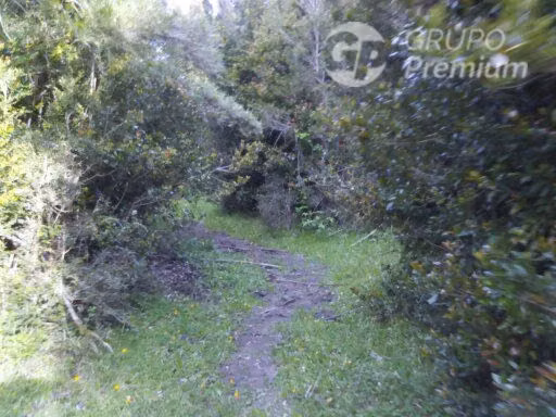 Sitio en venta en Puyehue