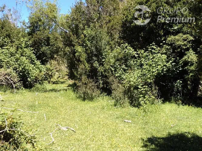 Sitio en venta en Puyehue