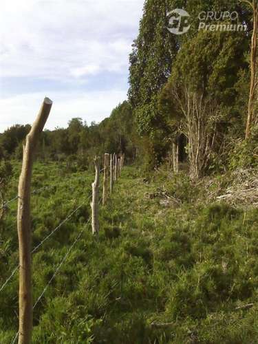 Sitio en venta en Puyehue - Imagen 7