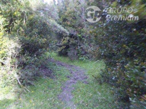 Sitio en venta en Puyehue - Imagen 3