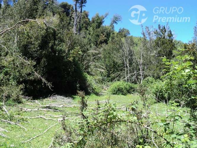 Sitio en venta en Puyehue - Imagen 2