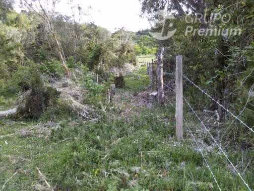 Sitio en venta en Puyehue