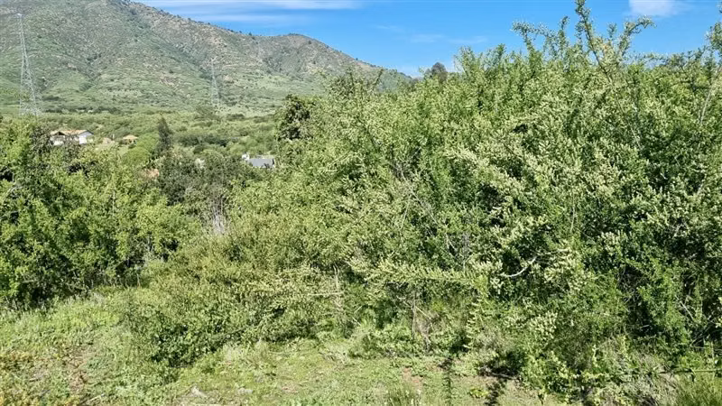 Parcela en venta en Quintero