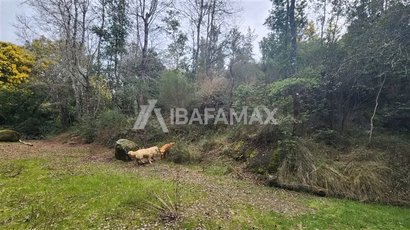 Casa en venta de 3 dorm. en Florida