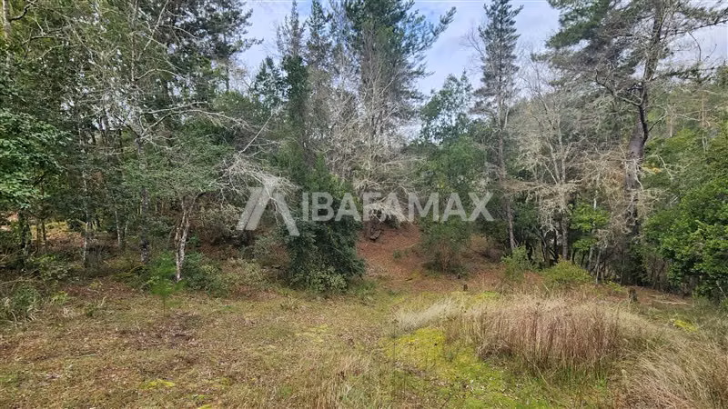 Casa en venta de 3 dorm. en Florida