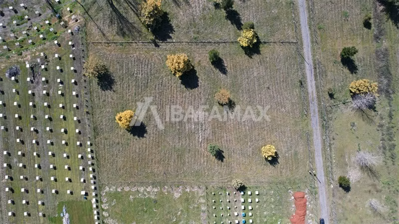 Parcela en venta en Quillón Santa Ana