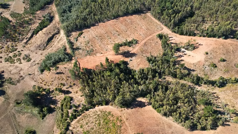 9 Parcelas en venta, enlace Florida ruta del Itata