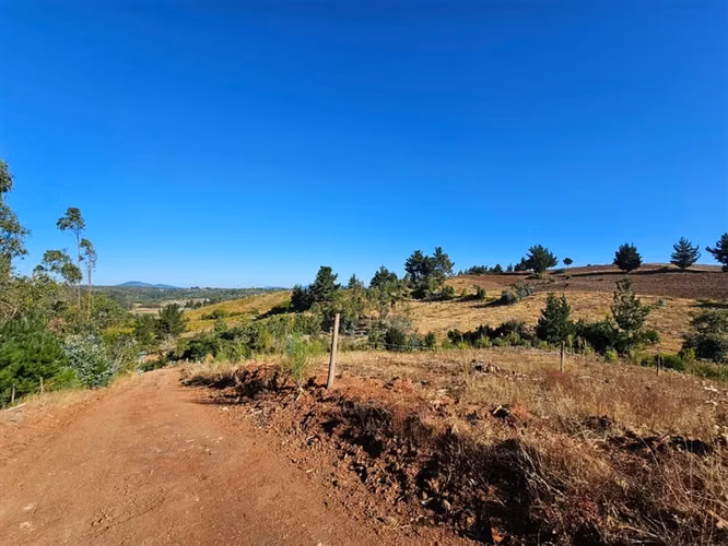 9 Parcelas en venta, enlace Florida ruta del Itata