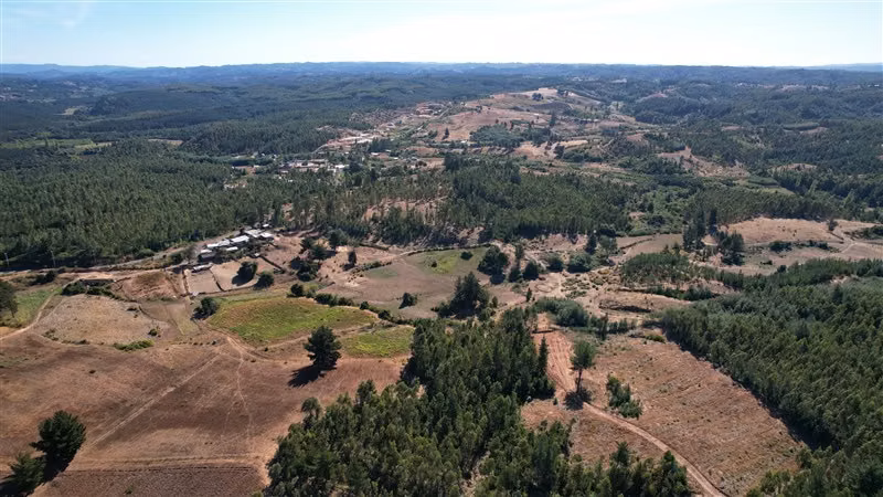 9 Parcelas en venta, enlace Florida ruta del Itata