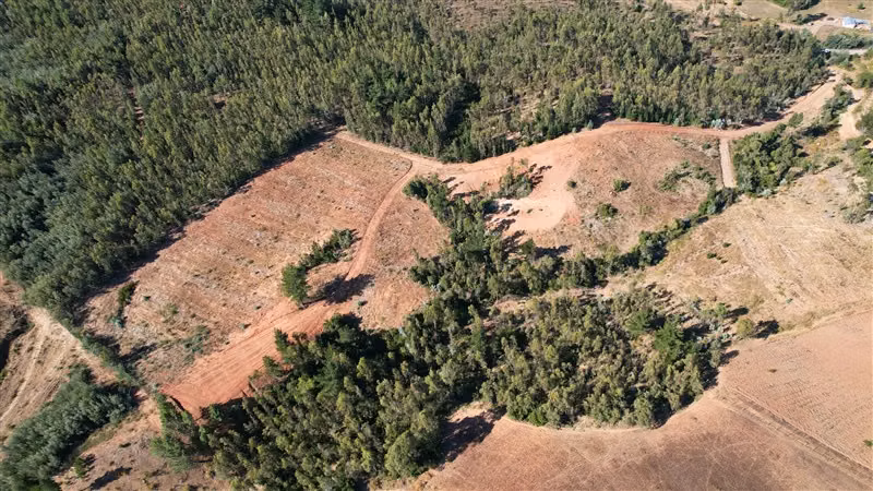 9 Parcelas en venta, enlace Florida ruta del Itata
