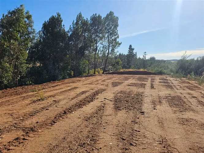9 Parcelas en venta, enlace Florida ruta del Itata