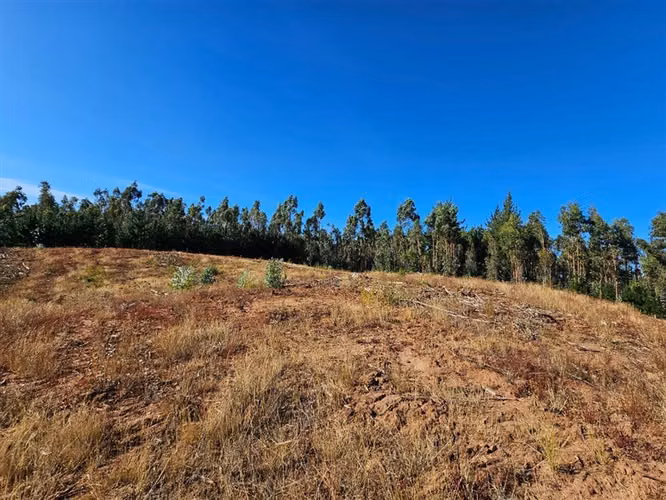 9 Parcelas en venta, enlace Florida ruta del Itata