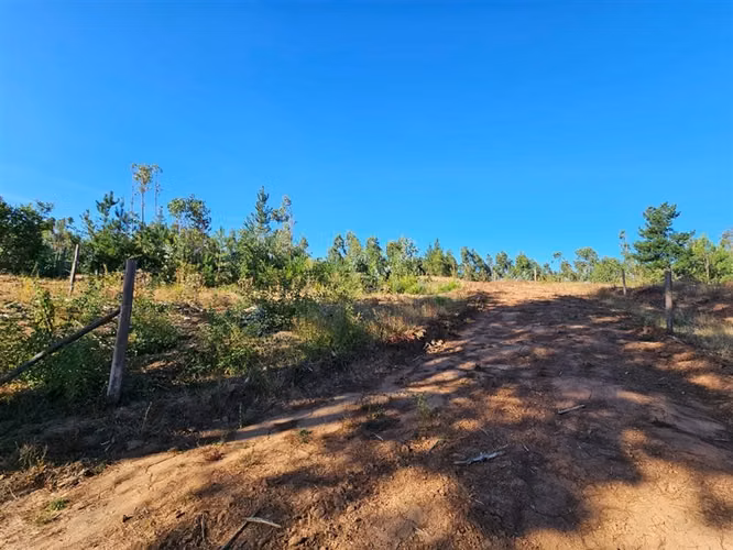 9 Parcelas en venta, enlace Florida ruta del Itata