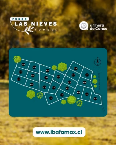 PARCELAS EN VENTA DE 5000 M2 YUMBEL