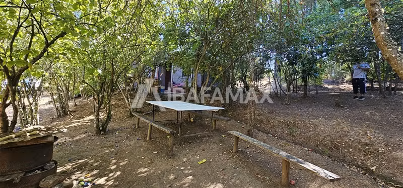 Parcela con casa antes de Copiulemu Camino a Cabrero
