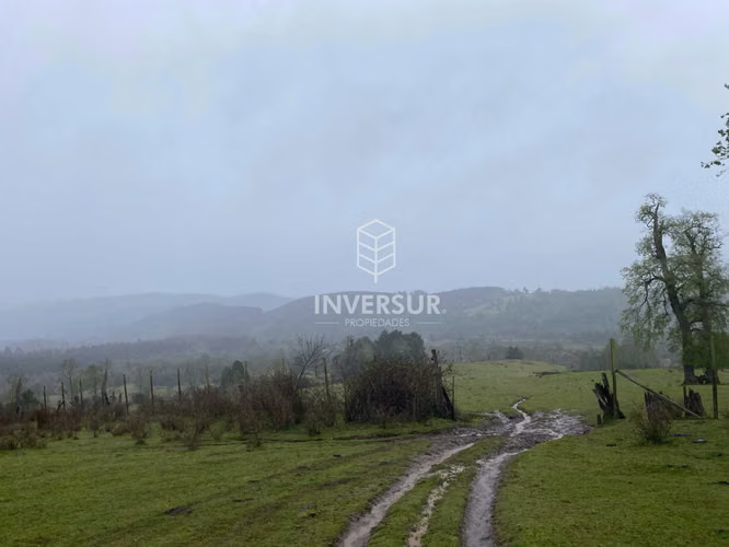 Entorno Natural para Vivir en Tranquilidad (153084)