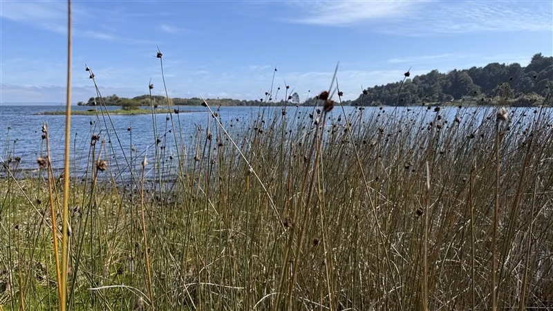 Casa en venta en Puerto Varas