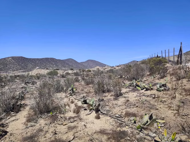 Venta de Terreno en Fundo El Hinojal (153059)