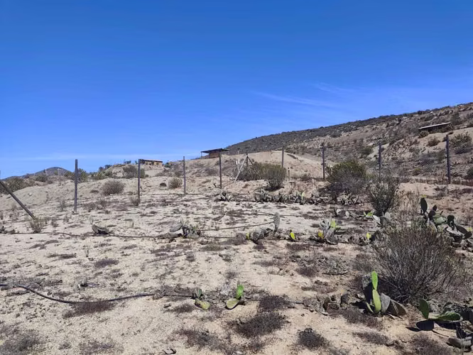 Parcela en Venta en El Fundo El Hinojal (153059) - Imagen 7