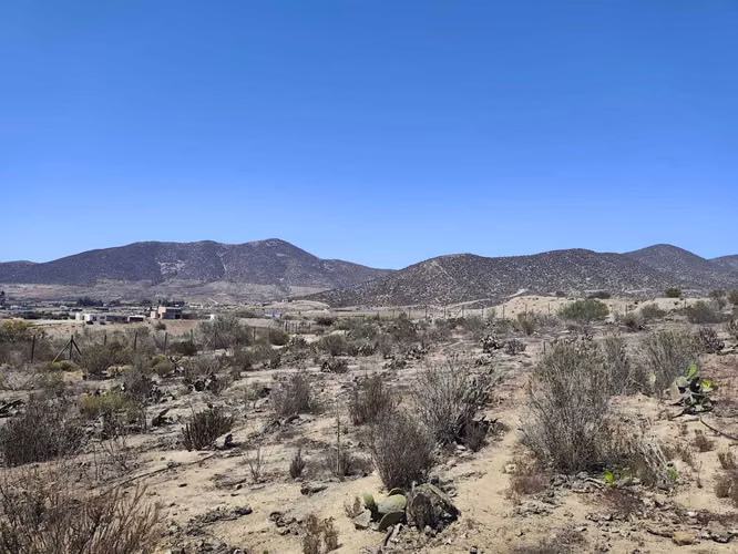 Venta de Terreno en Fundo El Hinojal (153059)