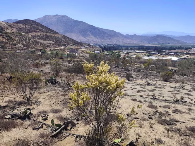 Venta de Terreno en Fundo El Hinojal (153059)
