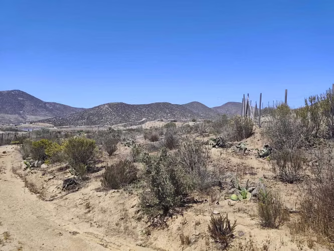 Parcela en Venta en El Fundo El Hinojal (153059) - Imagen 13