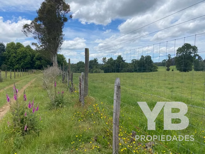 Venta Parcelas Fundo El Olivar Villarrica-Pitrufquén - Imagen 4