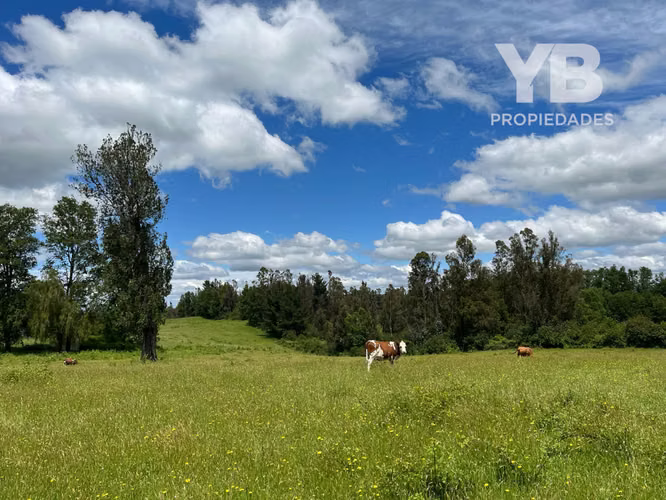 Venta Parcelas Fundo El Olivar Villarrica-Pitrufquén - Imagen 10