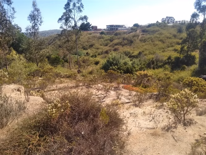 Parcelas con Proyecto Aprobado y Obras Avanzadas Algarrobo