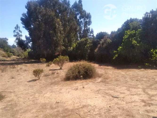 Parcelas con Proyecto Aprobado y Obras Avanzadas Algarrobo