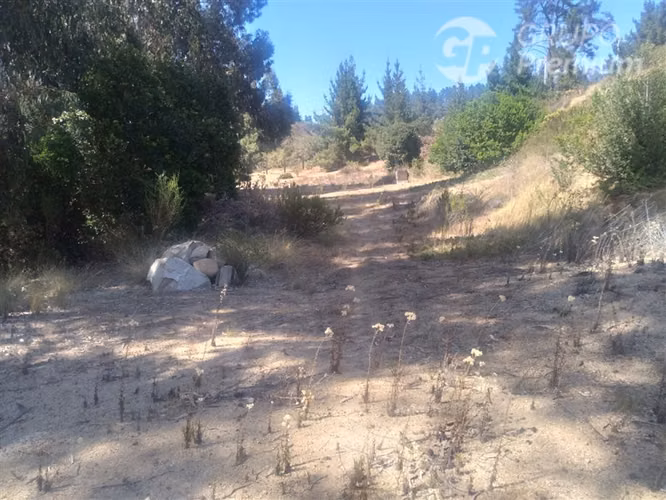 Parcelas con Proyecto Aprobado y Obras Avanzadas Algarrobo