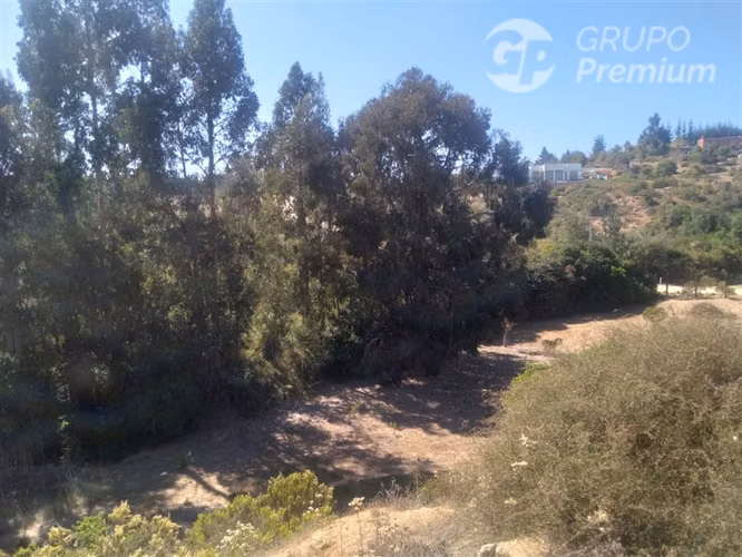 Parcelas con Proyecto Aprobado y Obras Avanzadas Algarrobo