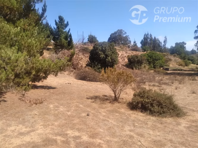 Parcelas con Proyecto Aprobado y Obras Avanzadas Algarrobo