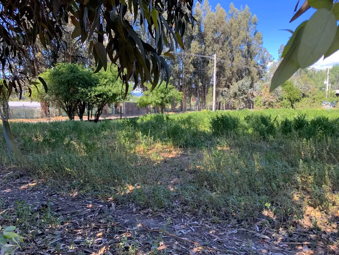 VENDE TERRENO 15,8 Ha  CON LUZ, AGUA, A PASOS DE AUTOPISTA - COLONIAS DE PAINE - Imagen 25