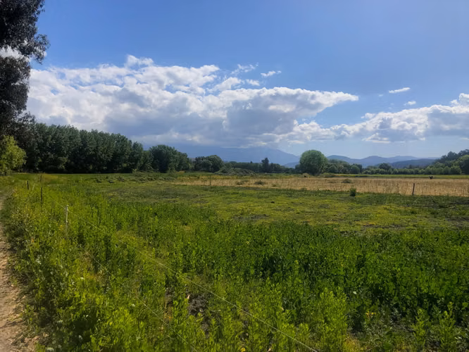 VENDE TERRENO 15,8 Ha  CON LUZ, AGUA, A PASOS DE AUTOPISTA - COLONIAS DE PAINE - Imagen 14
