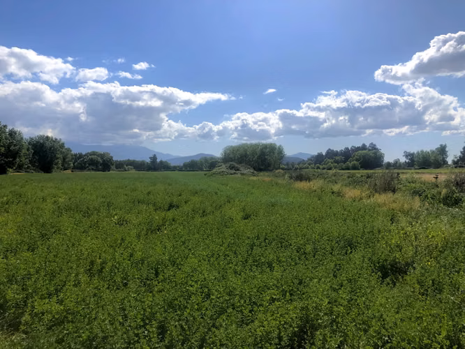 VENDE TERRENO 15,8 Ha  CON LUZ, AGUA, A PASOS DE AUTOPISTA - COLONIAS DE PAINE - Imagen 11