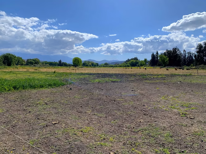 VENDE TERRENO 15,8 Ha  CON LUZ, AGUA, A PASOS DE AUTOPISTA - COLONIAS DE PAINE - Imagen 22
