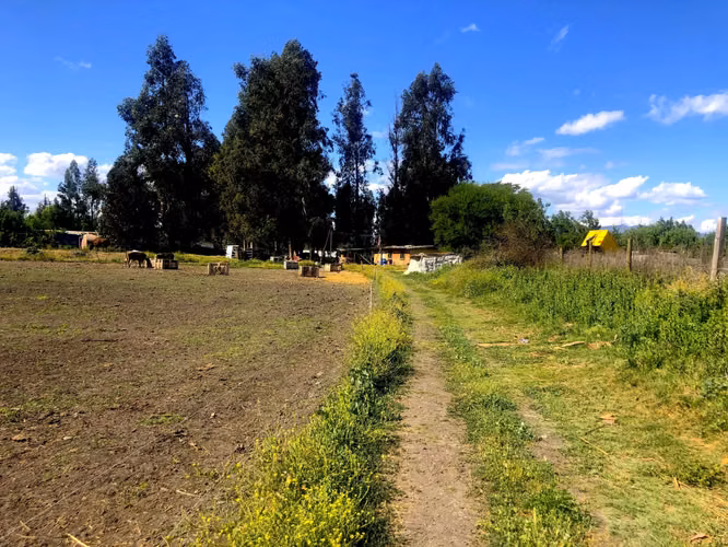 VENDE TERRENO 15,8 Ha  CON LUZ, AGUA, A PASOS DE AUTOPISTA - COLONIAS DE PAINE - Imagen 18