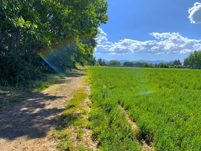 VENDE TERRENO 15,8 Ha  CON LUZ, AGUA, A PASOS DE AUTOPISTA - COLONIAS DE PAINE - Imagen 6