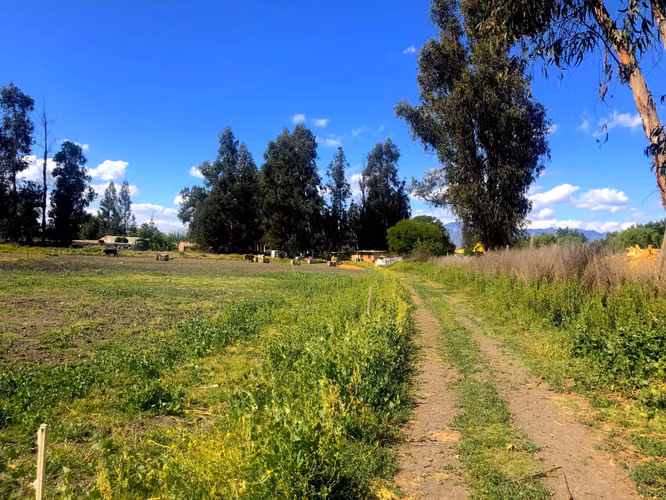 VENDE TERRENO 15,8 Ha  CON LUZ, AGUA, A PASOS DE AUTOPISTA - COLONIAS DE PAINE - Imagen 15