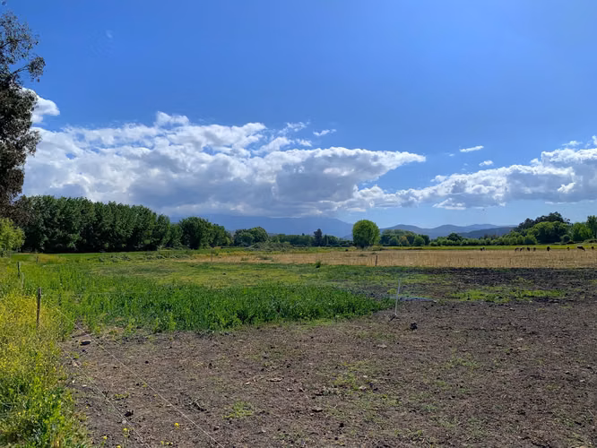 VENDE TERRENO 15,8 Ha  CON LUZ, AGUA, A PASOS DE AUTOPISTA - COLONIAS DE PAINE - Imagen 19