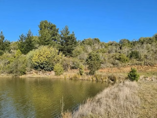 Parcela en venta en Cobquecura - Imagen 7