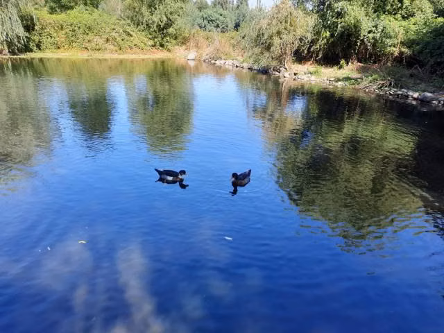 Parcela en venta en Coihueco