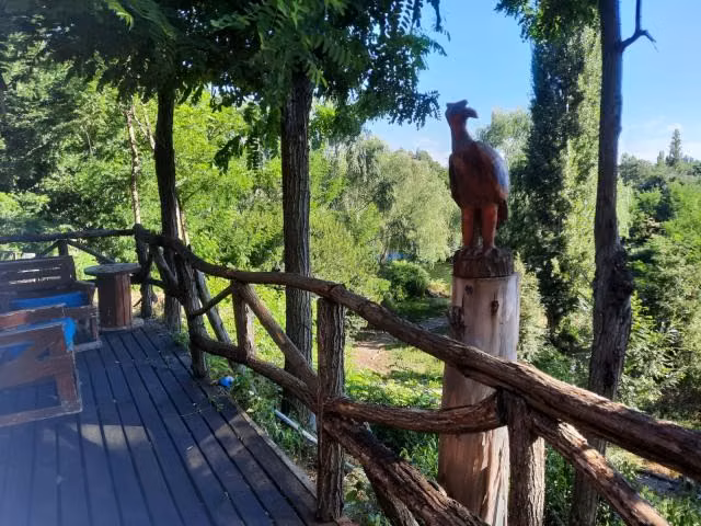 Parcela en venta en Coihueco