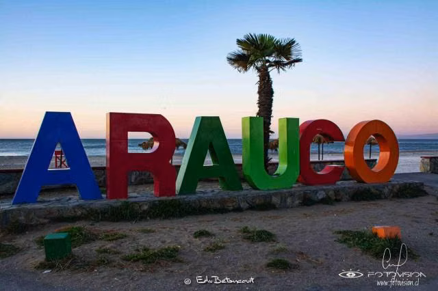 Parcela en venta en Arauco