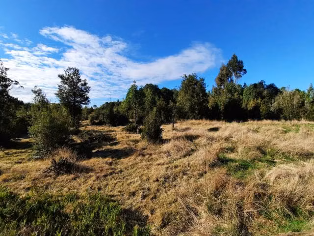 Parcela en venta en Puerto Varas